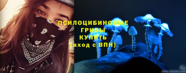 дурь Алексеевка