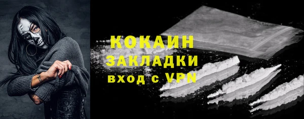 СК Алексин
