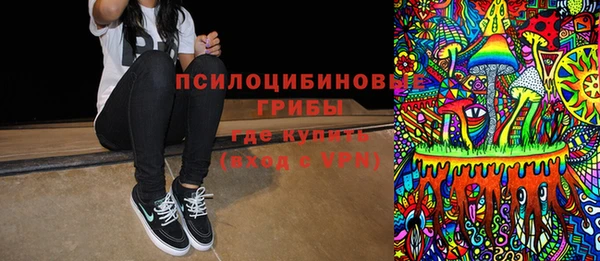 дурь Алексеевка