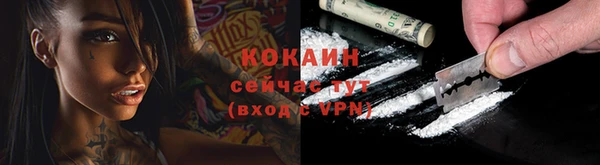 ГАЛЛЮЦИНОГЕННЫЕ ГРИБЫ Переславль-Залесский