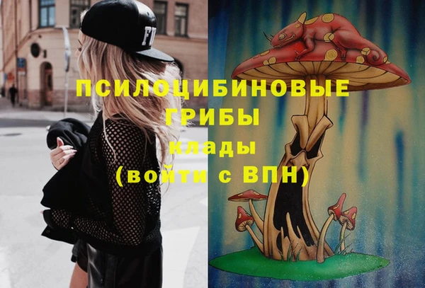 ешки Алзамай