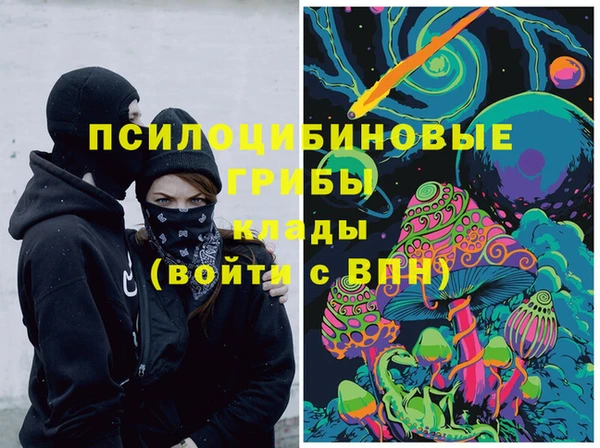 дурь Алексеевка