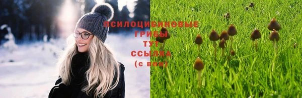 ешки Алзамай
