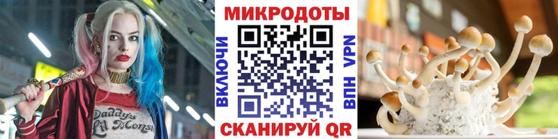 Псилоцибиновые грибы мицелий ОМГ ОМГ как войти Дубна купить наркоту